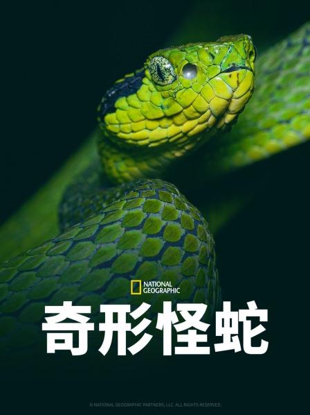 麻豆国产《奇形怪蛇》免费在线观看