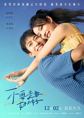 麻豆区《不要走散好不好》免费在线观看